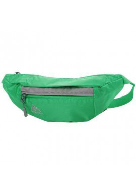 Фото Сумка поясная Onepolar Женская поясная сумка ONEPOLAR W5661-green
